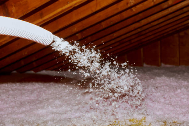 Best Residential Insulation in Old Bethpage, NY