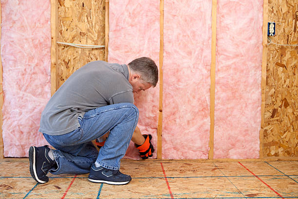 Best Eco-Friendly Insulation in Old Bethpage, NY